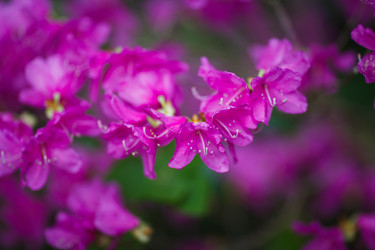 Similar image 11137293