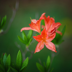 Similar image 11137295