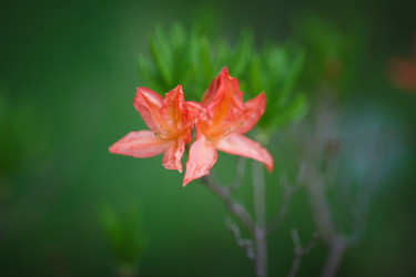 Similar image 11137324