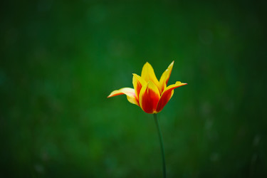 Similar image 11137325