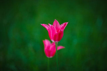 Similar image 11137326