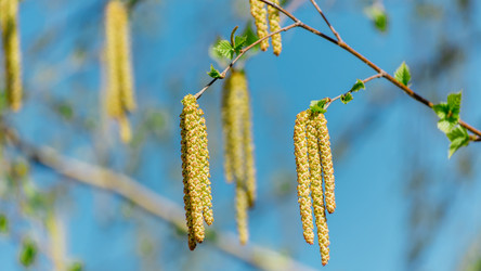 Similar image 11135775