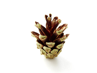 Similar image 11135997