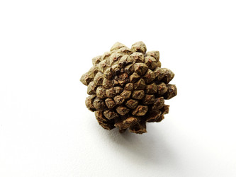 Similar image 11136000