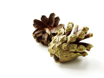 Similar image 11136003