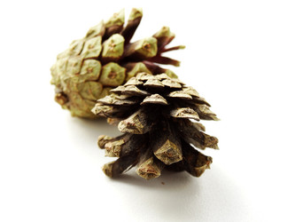 Similar image 11136004