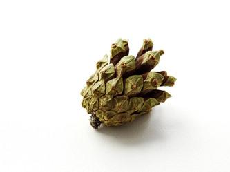 Similar image 11136005