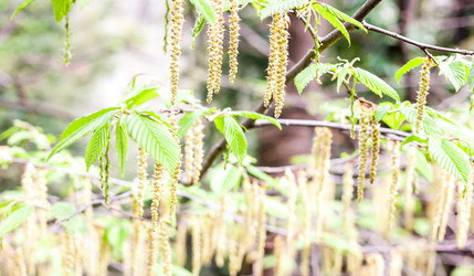 Similar image 11136512