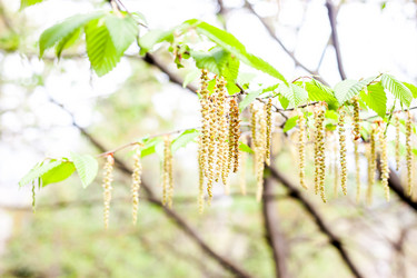 Similar image 11136513