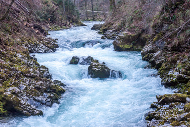 Similar image 11136518