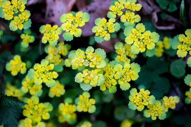 Similar image 11136525