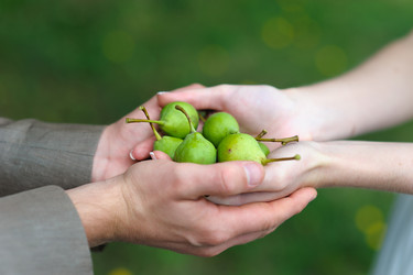 Similar image 11135788