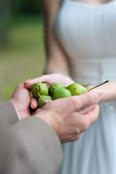 Similar image 11135789