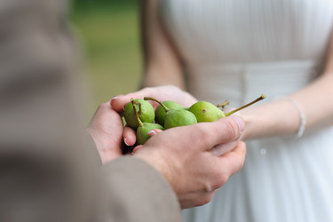 Similar image 11135790