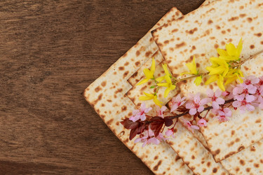 Similar image 11137856