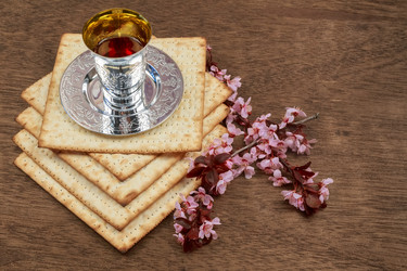 Similar image 11137862