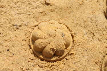 Similar image 11135911