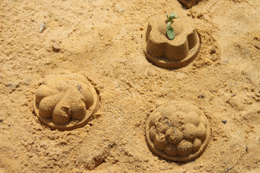 Similar image 11135912