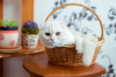 Similar image 11136496