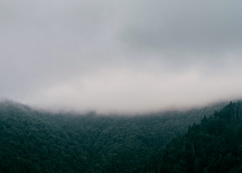 Similar image 11147358