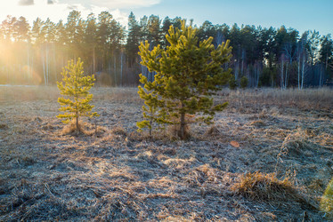 Similar image 11141050