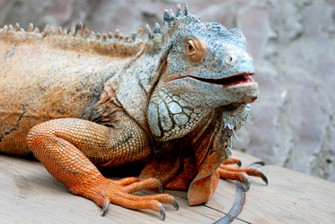 Similar image 11136415