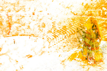 Similar image 11145274