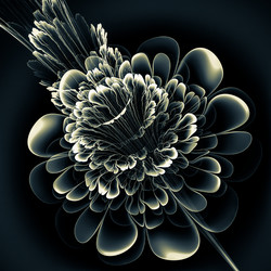 Similar image 11145275