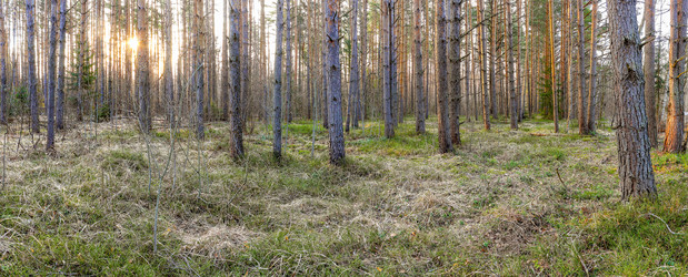 Similar image 11136347