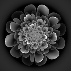 Similar image 11145355