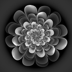 Similar image 11145358