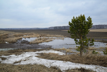 Similar image 11141051