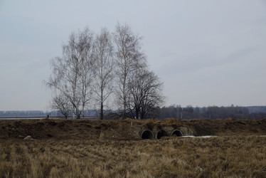 Similar image 11141053