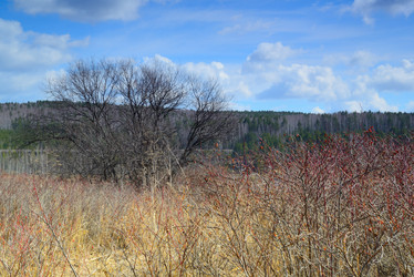 Similar image 11141055