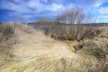 Similar image 11141057