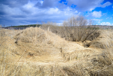 Similar image 11141058