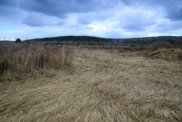 Similar image 11141059