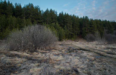 Similar image 11141060