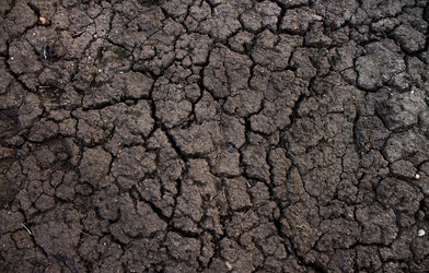 Similar image 11136571