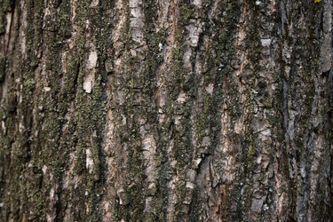 Similar image 11136574