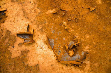 Similar image 11136576