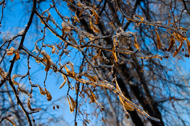 Similar image 11136579