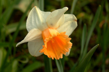 Similar image 11136590