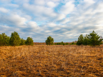 Similar image 11136350