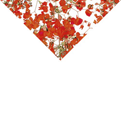 Similar image 11136403