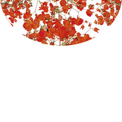 Similar image 11136405