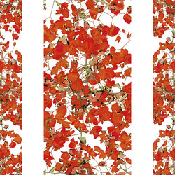 Similar image 11136406