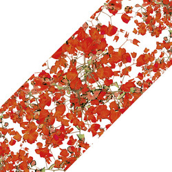 Similar image 11136408