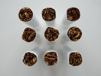 Similar image 11137175