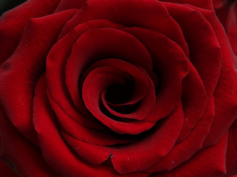 Similar image 11137217